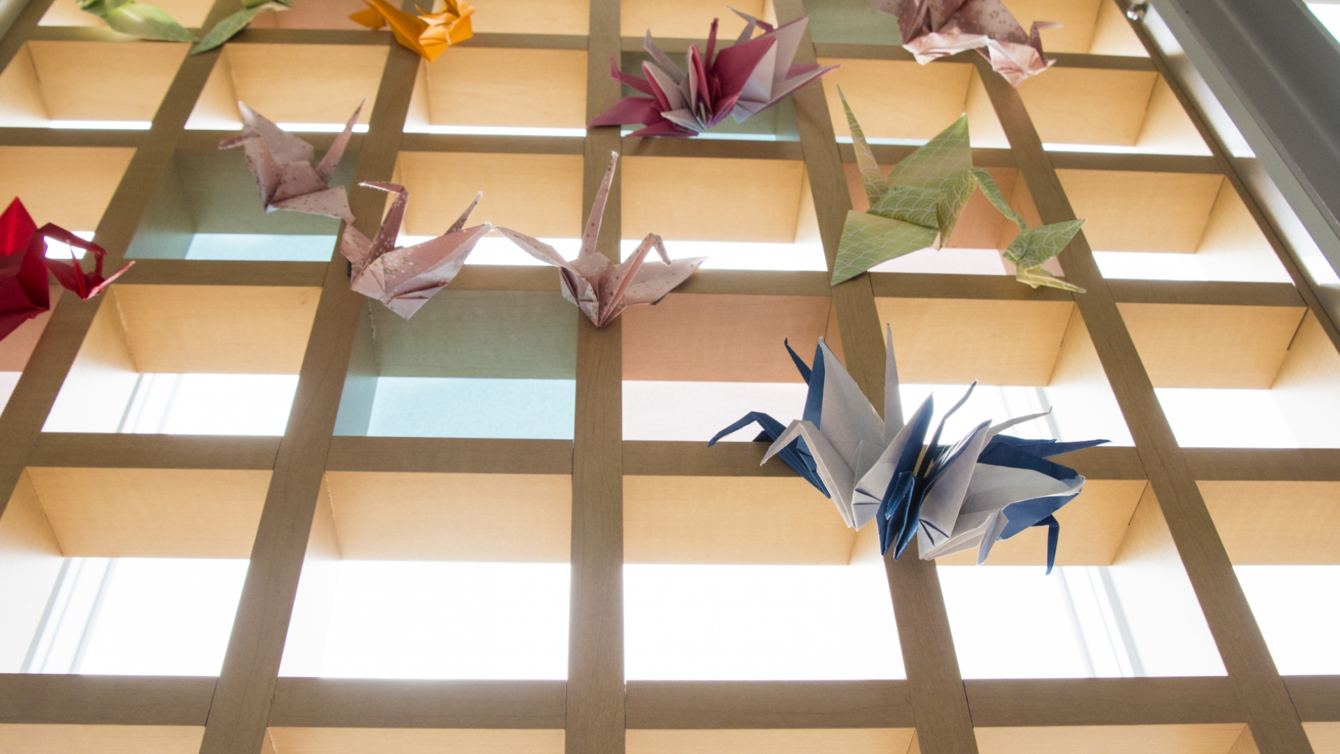 鶴の折り紙が並べている写真